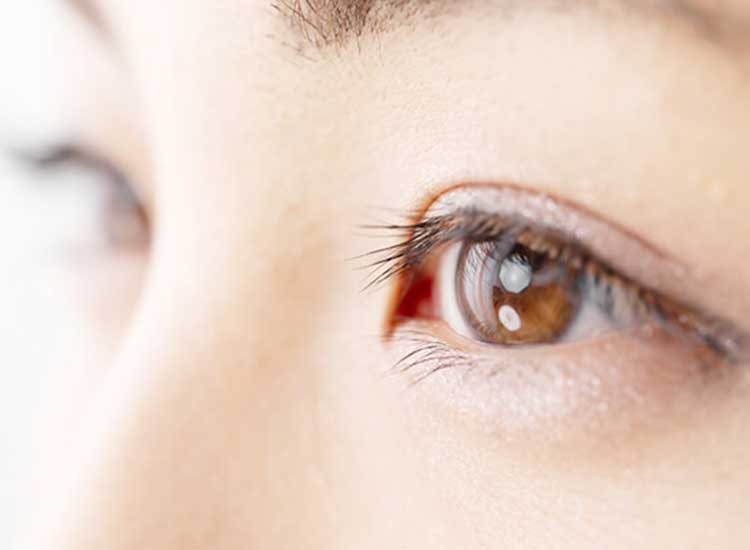 一般眼科･小児眼科